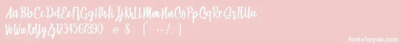 Beach Society Font – White Fonts on Pink Background