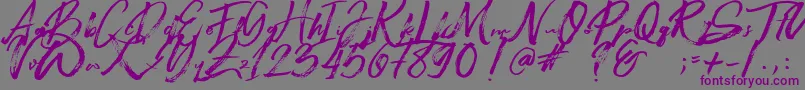 Beastmachine-fontti – violetit fontit harmaalla taustalla