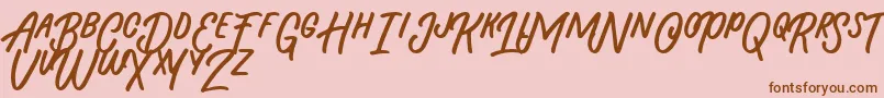 Beasty Morty Font – Brown Fonts on Pink Background