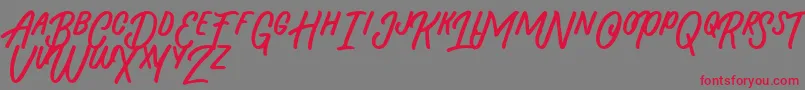 Beasty Morty Font – Red Fonts on Gray Background