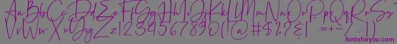 Beatrise Font – Purple Fonts on Gray Background