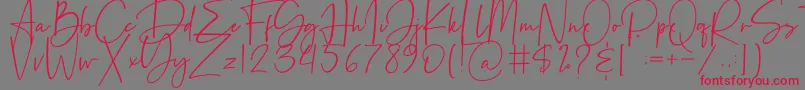 Beatrise Font – Red Fonts on Gray Background