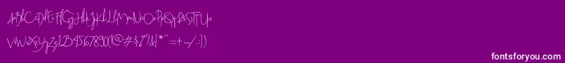 Beatrix Signature Font – White Fonts on Purple Background
