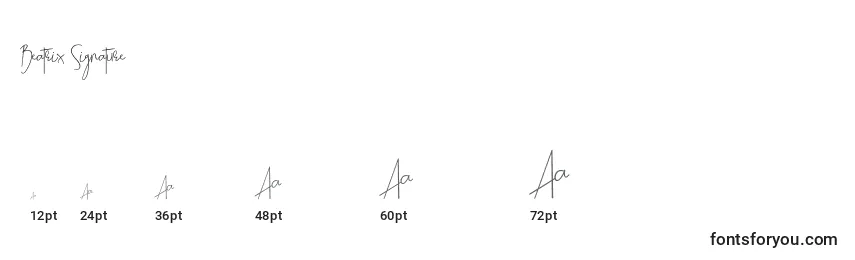 Размеры шрифта Beatrix Signature