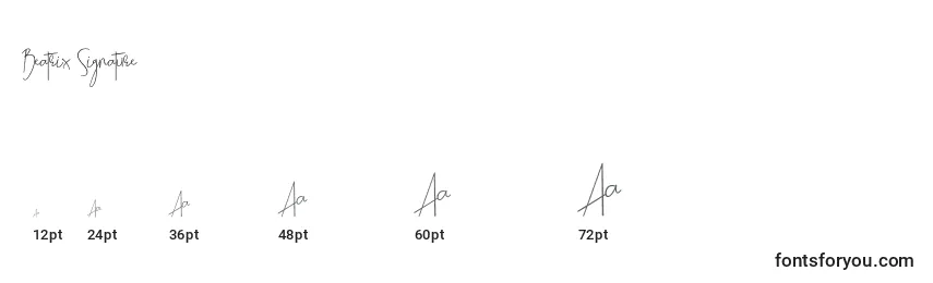 Größen der Schriftart Beatrix Signature