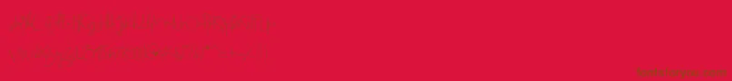 Beatrix Signature-fontti – ruskeat fontit punaisella taustalla