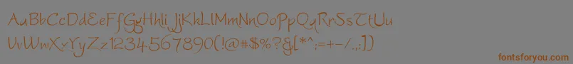 Worstveldslingextra Font – Brown Fonts on Gray Background
