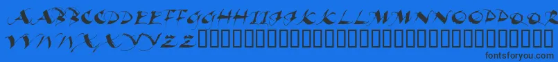 BEAUI    Font – Black Fonts on Blue Background