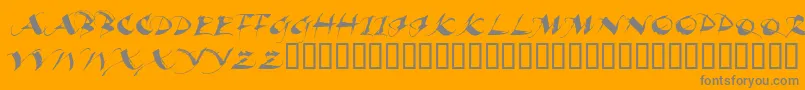 BEAUI    Font – Gray Fonts on Orange Background