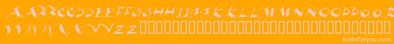 BEAUI   -Schriftart – Rosa Schriften auf orangefarbenem Hintergrund