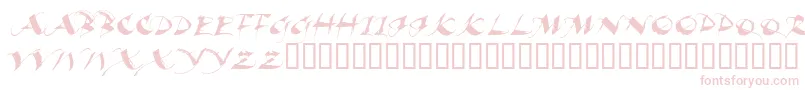 BEAUI    Font – Pink Fonts on White Background