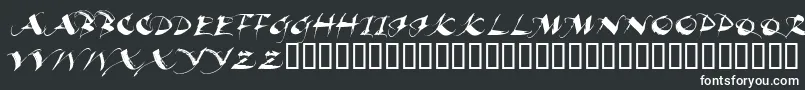 BEAUI    Font – White Fonts on Black Background