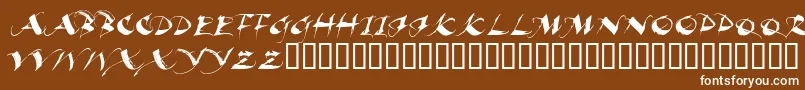 BEAUI    Font – White Fonts on Brown Background