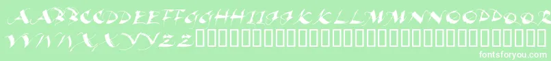 BEAUI    Font – White Fonts on Green Background