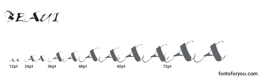 Размеры шрифта BEAUI    (120893)
