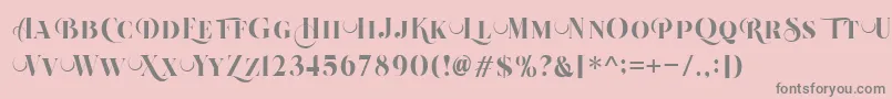 Beautiful Roses Regular Font – Gray Fonts on Pink Background