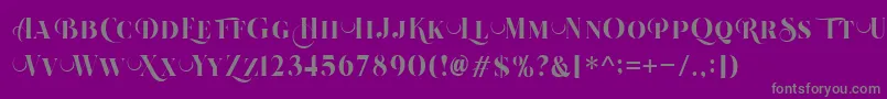 Beautiful Roses Regular Font – Gray Fonts on Purple Background