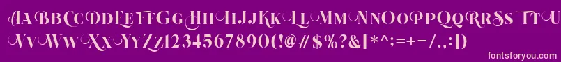 Beautiful Roses Regular Font – Pink Fonts on Purple Background