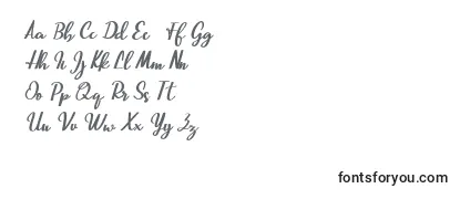 Beautiful Script Font