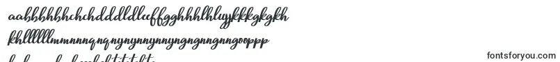 Beautiful Script Font – Sotho Fonts