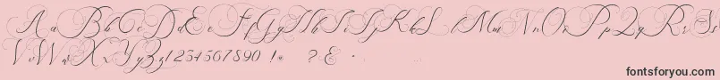 beauty angelique Font – Black Fonts on Pink Background