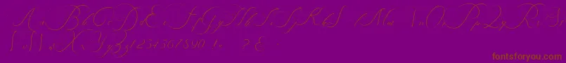 beauty angelique-Schriftart – Braune Schriften auf violettem Hintergrund