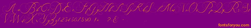 beauty angelique-Schriftart – Orangefarbene Schriften auf violettem Hintergrund