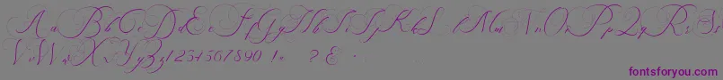 beauty angelique Font – Purple Fonts on Gray Background