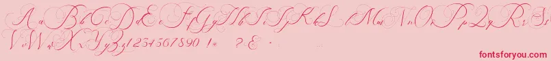 beauty angelique-Schriftart – Rote Schriften auf rosa Hintergrund