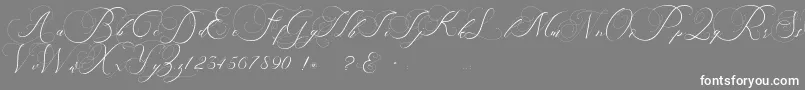 beauty angelique Font – White Fonts on Gray Background