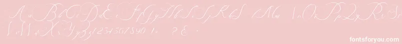 beauty angelique-Schriftart – Weiße Schriften auf rosa Hintergrund