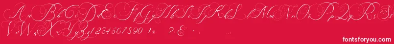 beauty angelique Font – White Fonts on Red Background