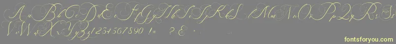 beauty angelique-fontti – keltaiset fontit harmaalla taustalla