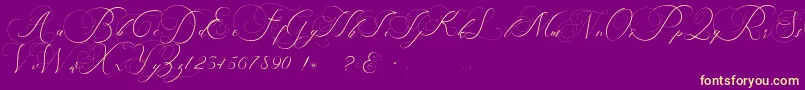 beauty angelique Font – Yellow Fonts on Purple Background