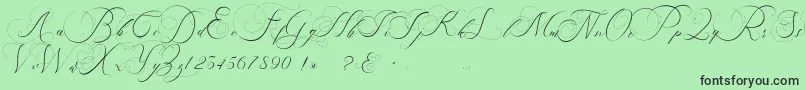 beauty angelique Font – Black Fonts on Green Background