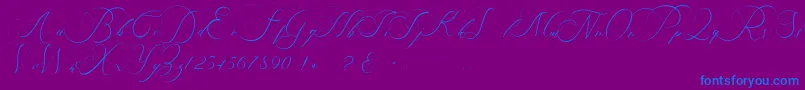 beauty angelique-Schriftart – Blaue Schriften auf violettem Hintergrund