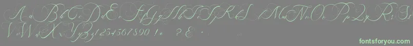 beauty angelique-Schriftart – Grüne Schriften auf grauem Hintergrund