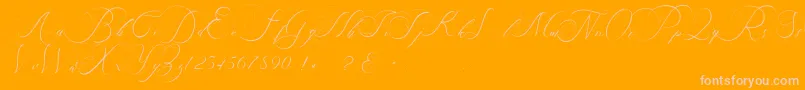 beauty angelique-Schriftart – Rosa Schriften auf orangefarbenem Hintergrund