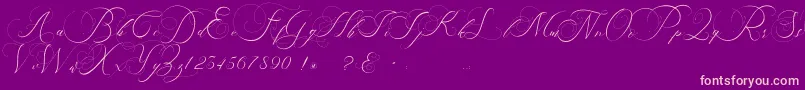 beauty angelique Font – Pink Fonts on Purple Background