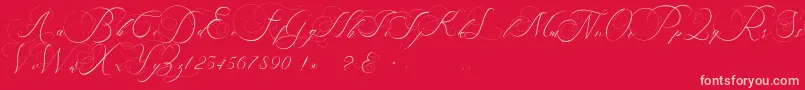 beauty angelique Font – Pink Fonts on Red Background