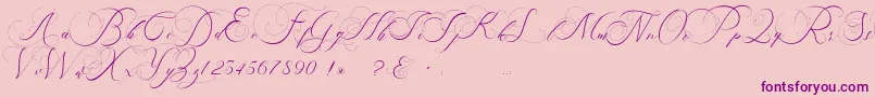 beauty angelique Font – Purple Fonts on Pink Background