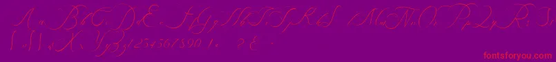 beauty angelique Font – Red Fonts on Purple Background