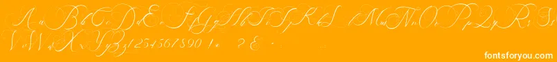 Fonte beauty angelique – fontes brancas em um fundo laranja