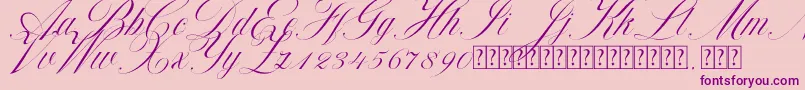 Beauty Athena Font – Purple Fonts on Pink Background