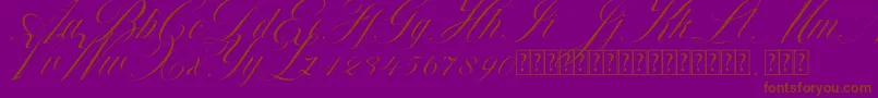 Beauty Athena Font – Brown Fonts on Purple Background