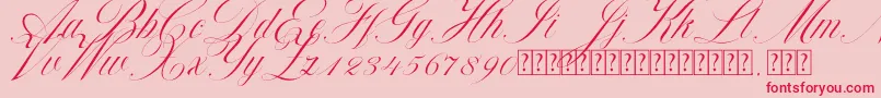 Beauty Athena Font – Red Fonts on Pink Background