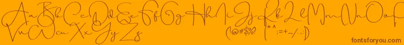Beauty Dream Font – Brown Fonts on Orange Background