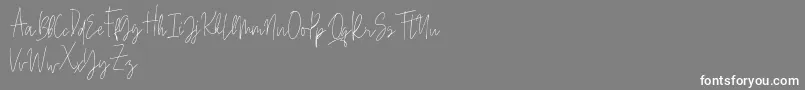 Beauty Signature-Schriftart – Weiße Schriften auf grauem Hintergrund