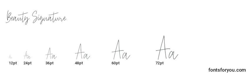 Beauty Signature Font Sizes