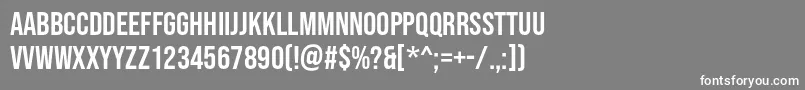 BebasNeue Regular Font – White Fonts on Gray Background